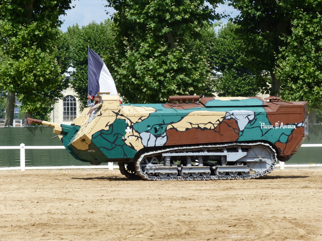 169ème carrousel de Saumur - portes ouvertes des écoles militaires P1070913