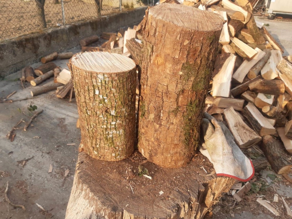 che legno è? - Pagina 2 Ciocco11