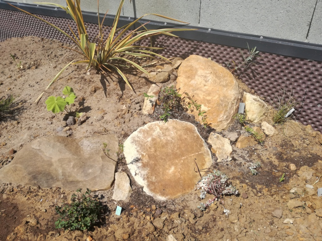 Nouveau jardin, Nouvelle «mini» rocaille Img_2093
