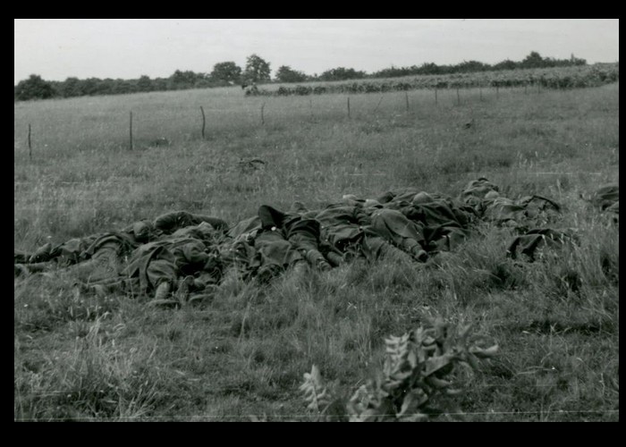 Hommage : Il y a 80 ans, 48 tirailleurs sénégalais étaient exécutés par les allemands à Chasselay, dans le Rhône 3781_518