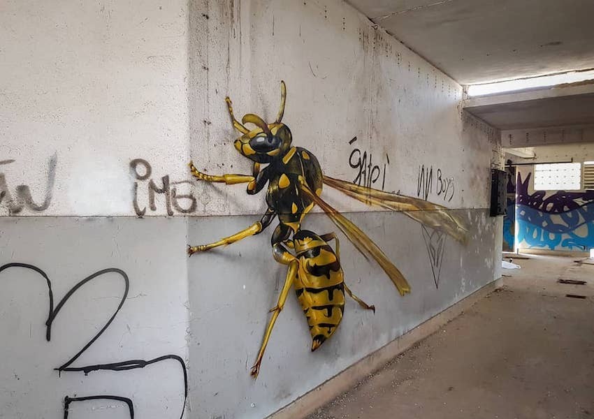 Ce graffeur crée des insectes géants qui semblent prendre vie grâce à l’anamorphose L18