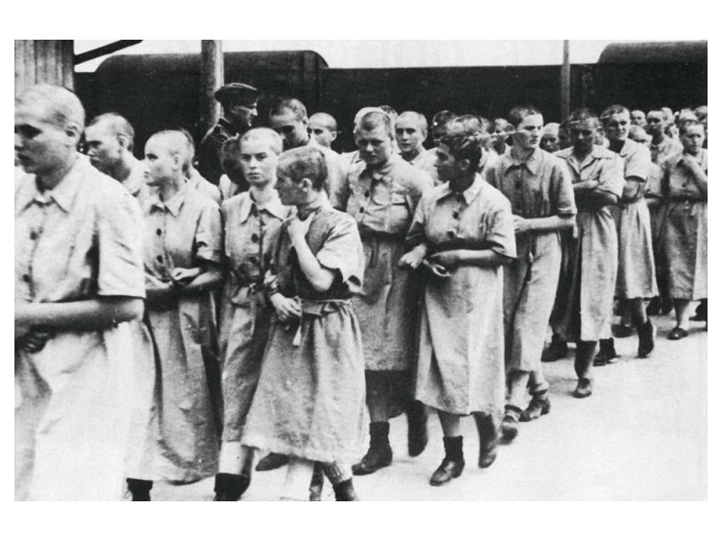 Quand la firme Bayer achetait des lots de femmes à Auschwitz Sans2184