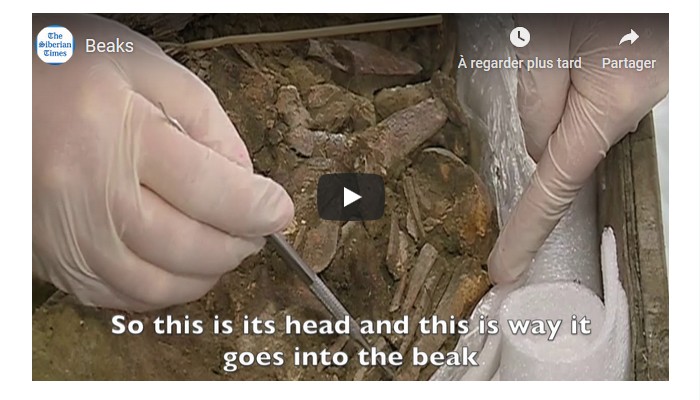 En Sibérie, des archéologues ont mis au jour le squelette d'un étrange "homme-oiseau"  Sans2768