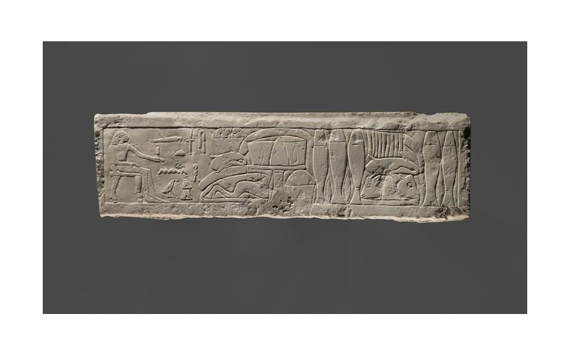 En nageant, il découvre une pierre gravée de hiéroglyphes vieux de 3 400 ans Sans3714