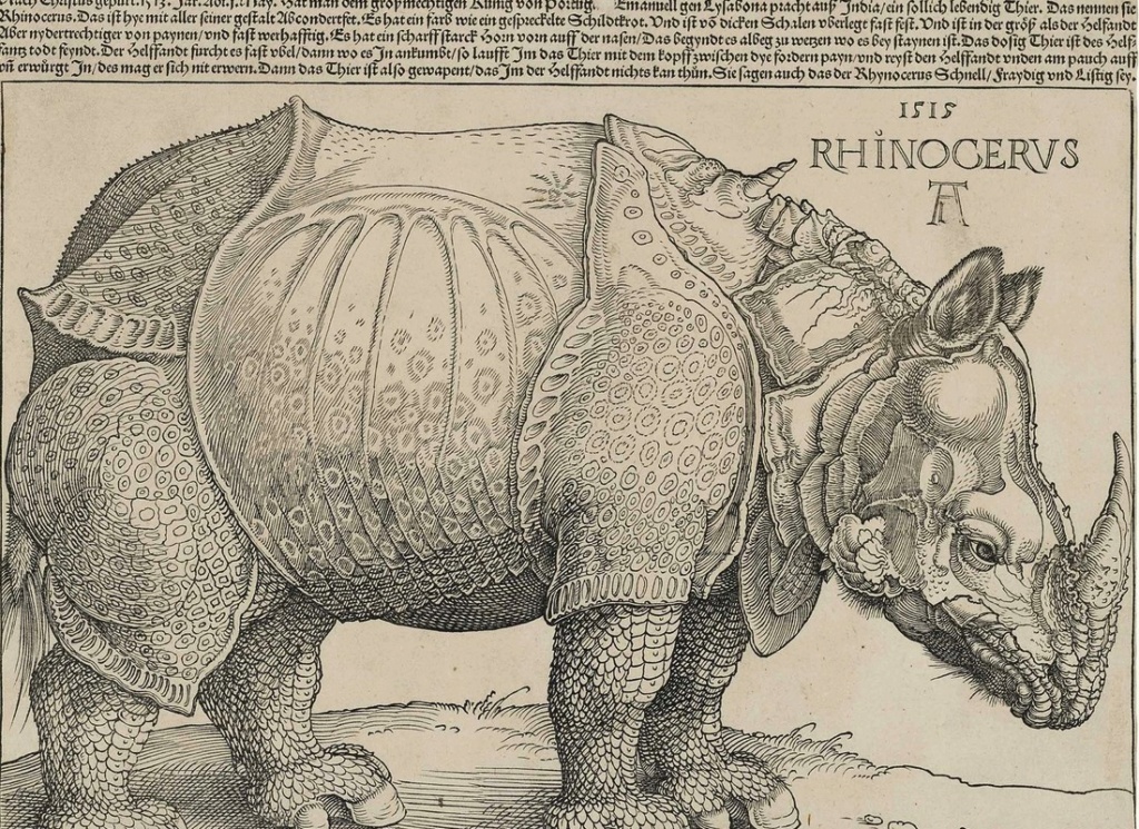 Cette gravure sur bois d'Albrecht Dürer Sans5437