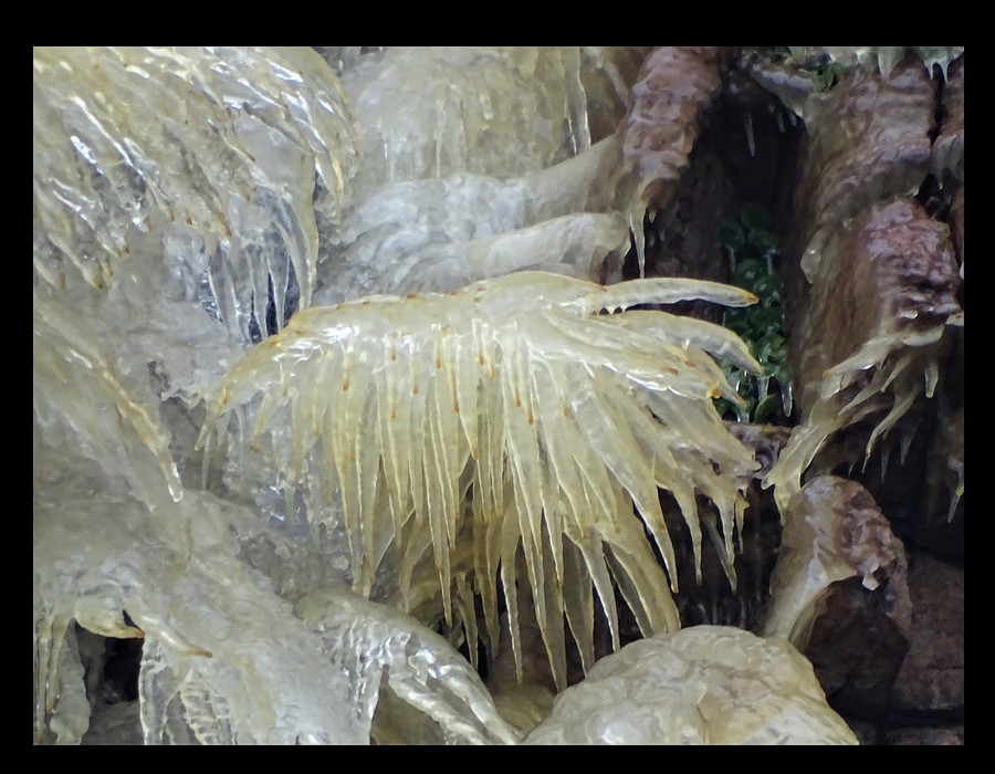 Une cascade de glace de 60 mètres de haut s'est formée dans les falaises du Cap Fréhel (janv 2021) Sans5503