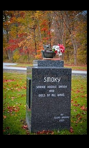 Zoom sur "Smoky" - un célèbre chien qui a servi pendant la Seconde Guerre mondiale... Sans5915