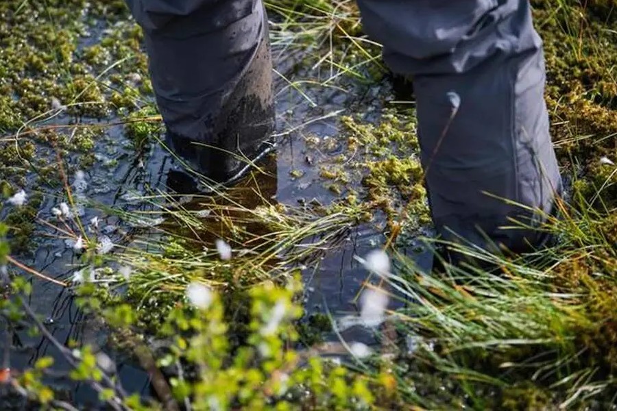 La fonte du permafrost est-elle vraiment une bombe à retardement pour le climat ? Sans6685