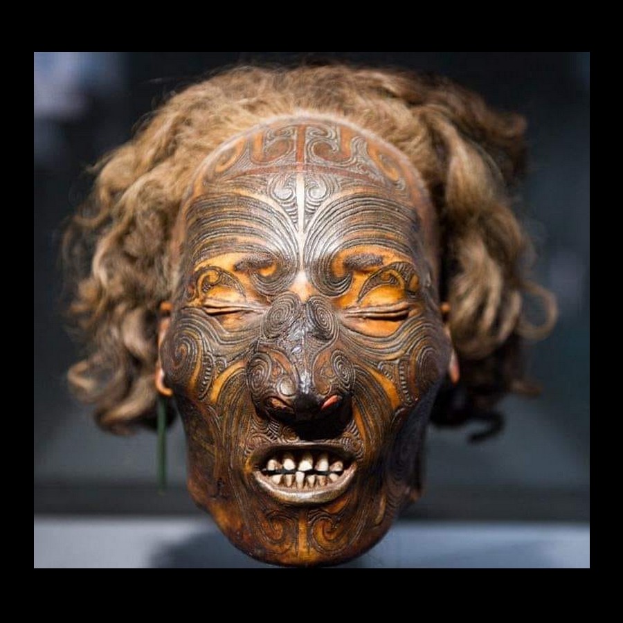 Tête momifiée (mokomokai) avec tatouage facial Moko Sans6773