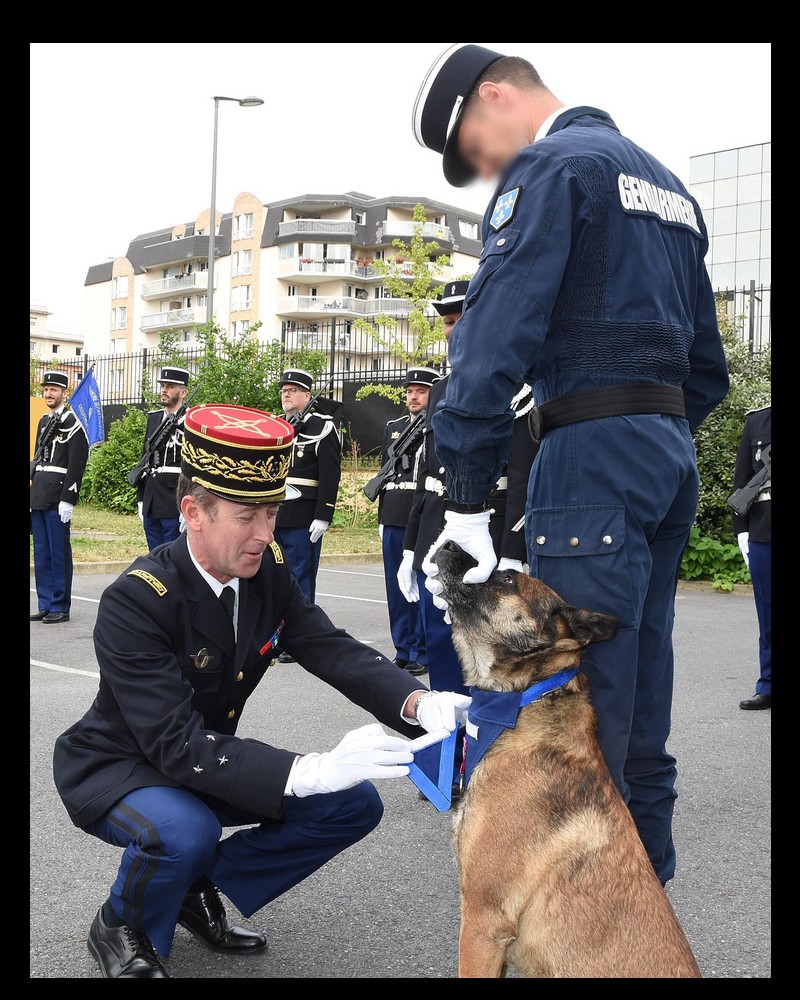 Bonne retraite Haïko !!  Gendarmerie du Val d'Oise Sans7237