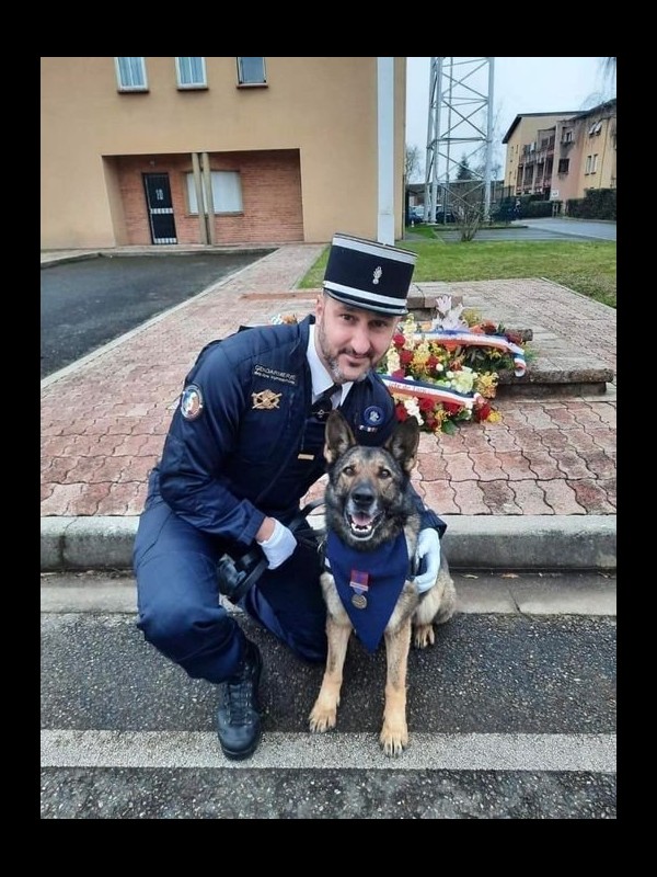 Jedï, une chienne qui officiait dans l'équipe cynophile de la gendarmerie de Montauban Sans7273