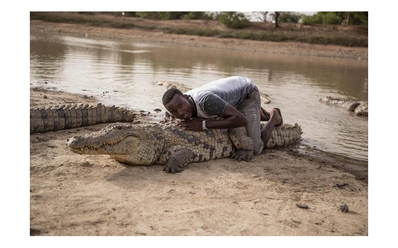 Dans ce village, tout le monde aime les crocos Sans_t46