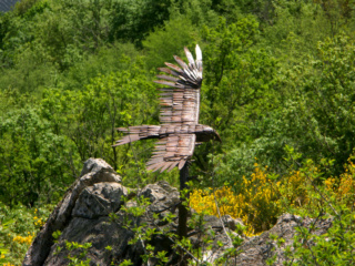 C.R. Visu Corrèze 2022 au milieu du Limousin Pict0028