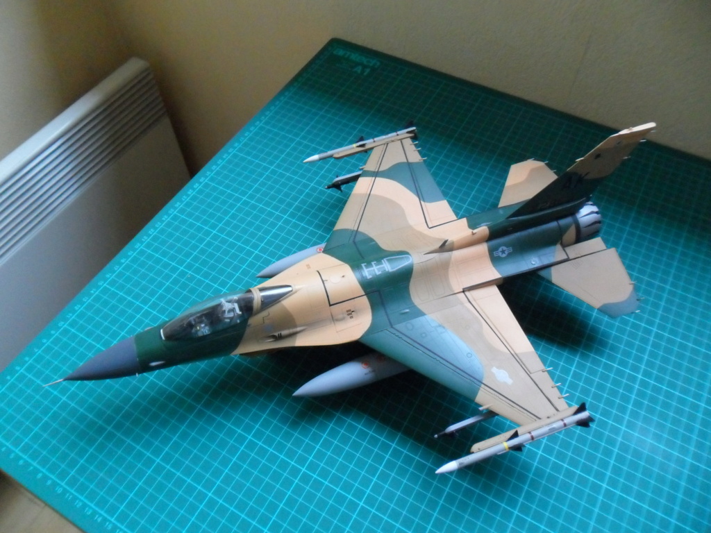 F-16C du 18th Aggressor Sq d'Alaska - Tamiya 1/32ème - Page 3 Sam_2845