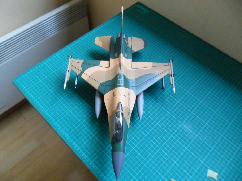 F-16C du 18th Aggressor Sq d'Alaska - Tamiya 1/32ème - Page 3 Sam_2848