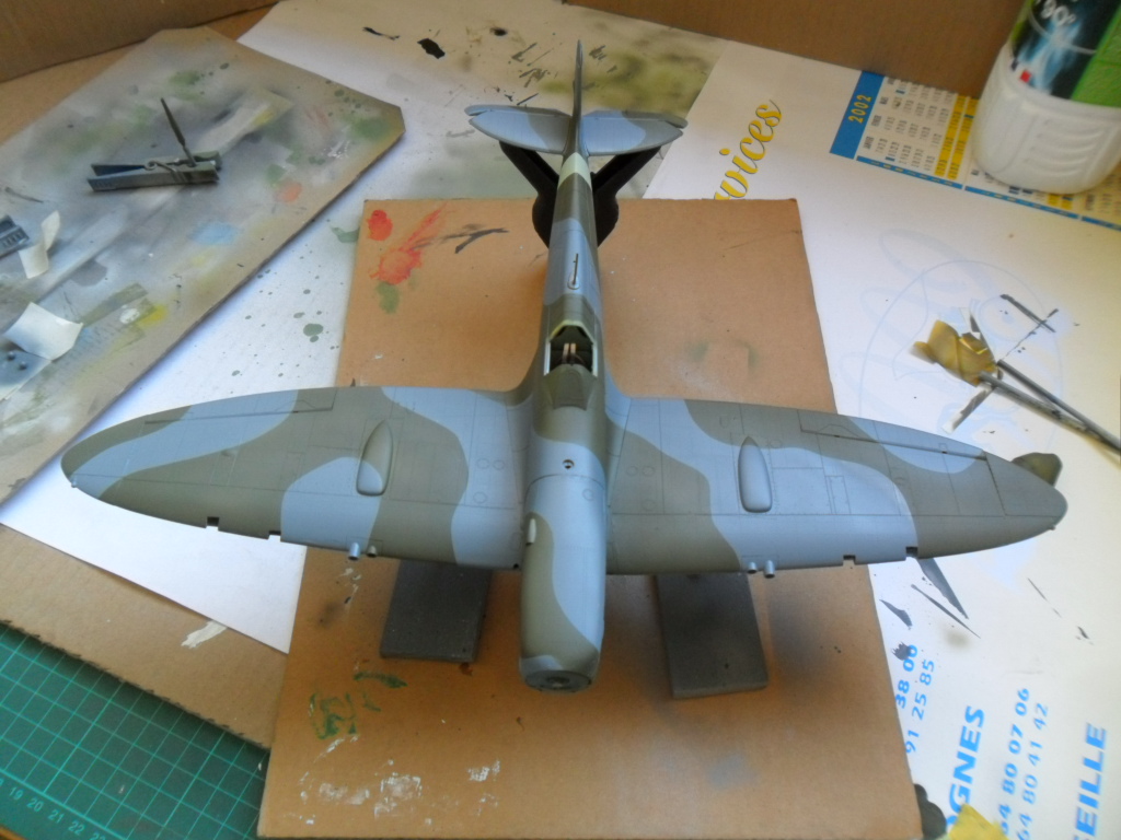 Spitfire Mk IXC 1/32ème Tamiya - Page 3 Sam_3290
