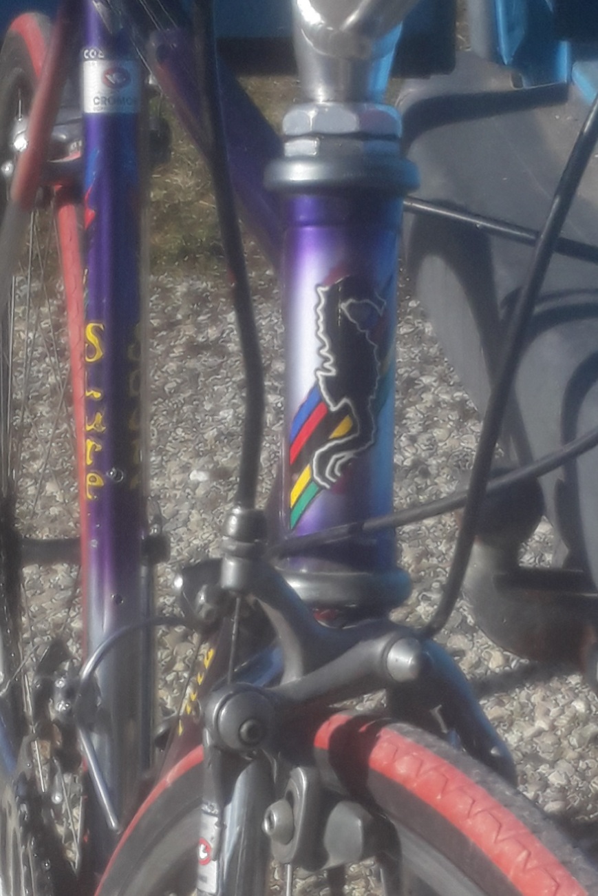 Cavallo Marino Columbus Cromor. 20220211