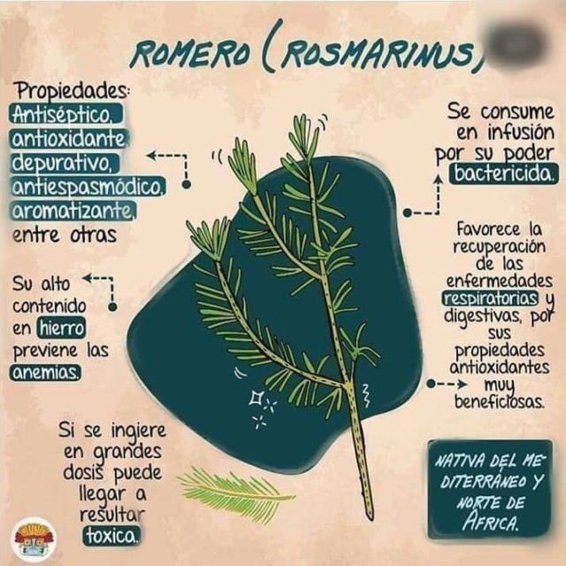 Plantas Medicinales Fb_i1438