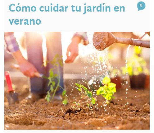 Como cuidar tu jardín en verano Scr12080