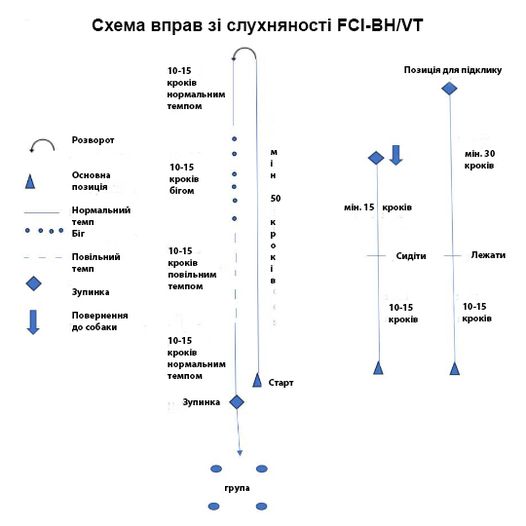 ВН-VT 10