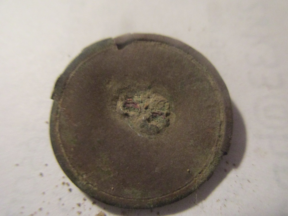 bouton de cantonnier du roi Louis XVIII. Img_8627