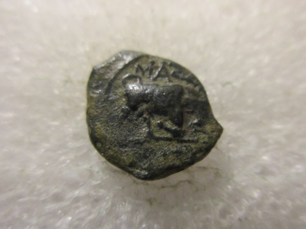 Bronze au taureau cornupéte -150-120 Avant J C. Img_9100