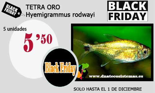 Ofertas de Black Friday válidas hasta el 1 de diciembre 17-tet10