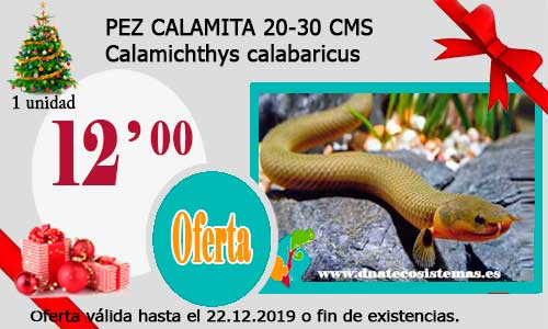 Ofertas válidas hasta el 22 de diciembre de 2019 18-cal11