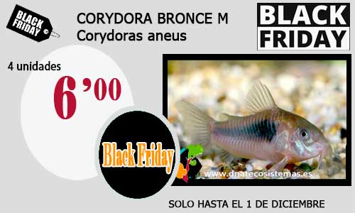 Ofertas de Black Friday válidas hasta el 1 de diciembre 22-cor10