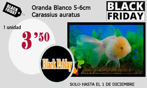 Ofertas de Black Friday válidas hasta el 1 de diciembre 26-ora13