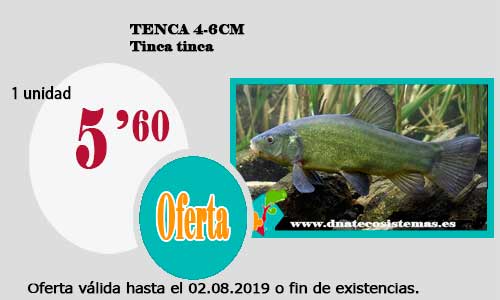 Ofertas válidas hasta el 2 de agosto de 2019 26-ten10