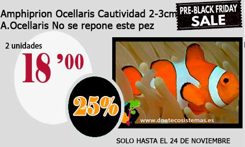 PreBlackFriday ¡solo este fin de semana! 29-amp10