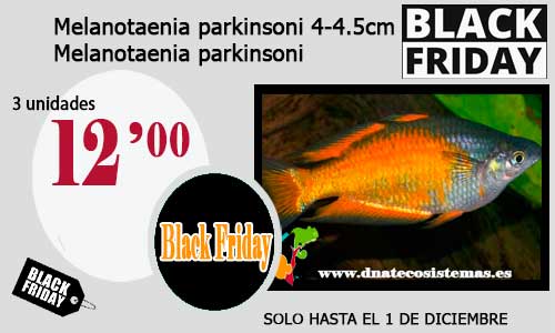 Ofertas de Black Friday válidas hasta el 1 de diciembre 3-mela10