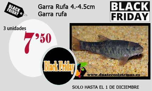 Ofertas de Black Friday válidas hasta el 1 de diciembre 33-gar10