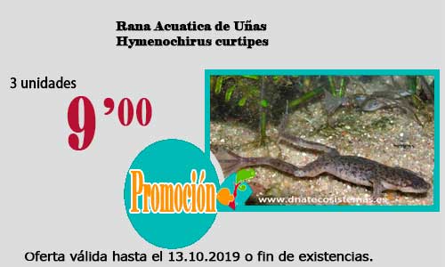 Ofertas válidas hasta el 13 de Octubre de 2019 33-ran11