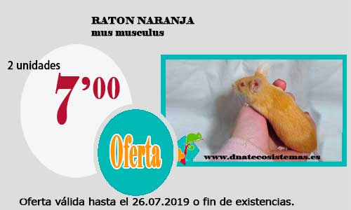 Nuevas ofertas válidas hasta el 26 de julio 37-rat10