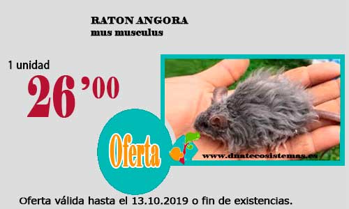 Ofertas válidas hasta el 13 de Octubre de 2019 38-rat11