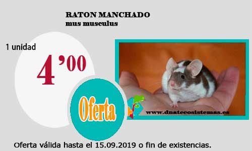 Ofertas válidas hasta el 15 de Septiembre de 2019 39-rat10