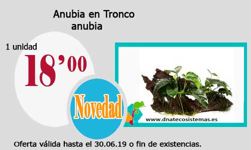 Ofertas válidas hasta el día 30.06.2019 Anubia10