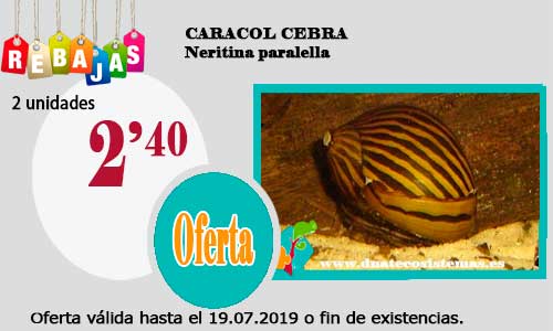 Ofertas válidas hasta el 19 de Julio de 2019 Caraco18