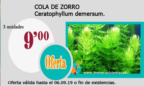 Ofertas válidas hasta el 6 de Septiembre de 2019 Cola-d10