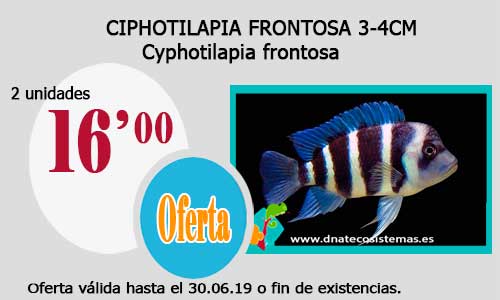 Ofertas válidas hasta el día 30.06.2019 Fronto10