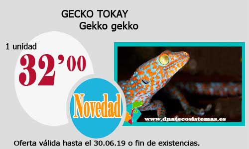 Ofertas válidas hasta el día 30.06.2019 Gecko-11