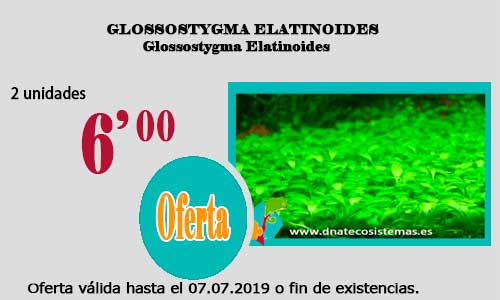 Ofertas válidas hasta el día 07.07.2019 Gloso-10