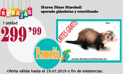 Ofertas válidas hasta el 19 de Julio de 2019 Huron-10