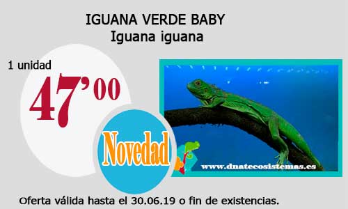 Ofertas válidas hasta el día 30.06.2019 Iguana10