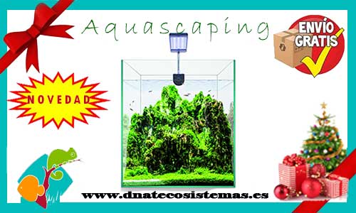 Nuevos acuarios para Aquascaping Kit-na10