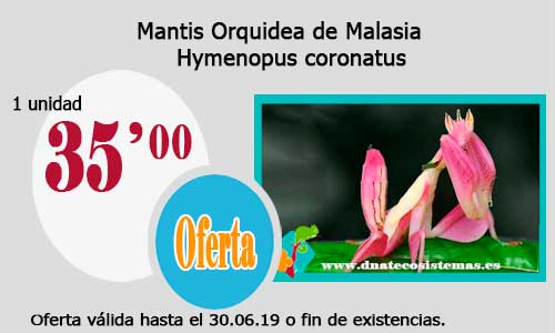 Ofertas válidas hasta el día 30.06.2019 Mantis10