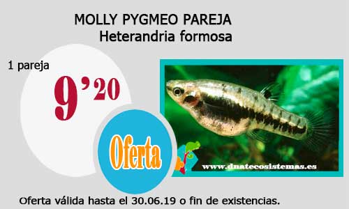 Ofertas válidas hasta el día 30.06.2019 Molly-10