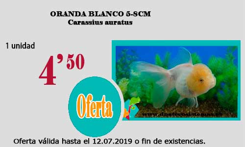 Ofertas válidas hasta el 12 de Julio de 2019 Oranda13